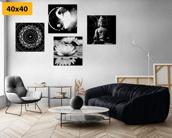 Set slika Feng Shui u crno-bijelom dizajnu