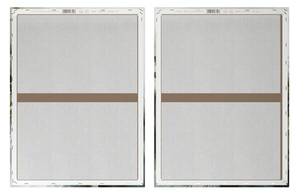 Slike s ručno oslikanim elementima u setu od 2 kom 50x70 cm Mirta - Styler