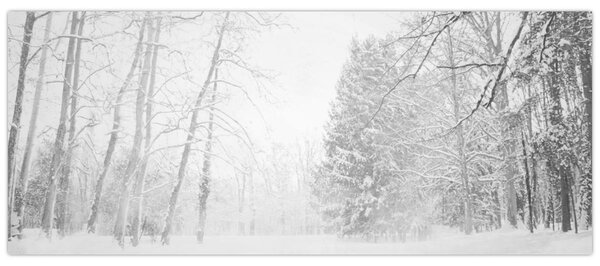 Slika - Drveni mol zimi (120x50 cm)