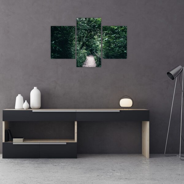 Slika - Put kroz šumu (90x60 cm)