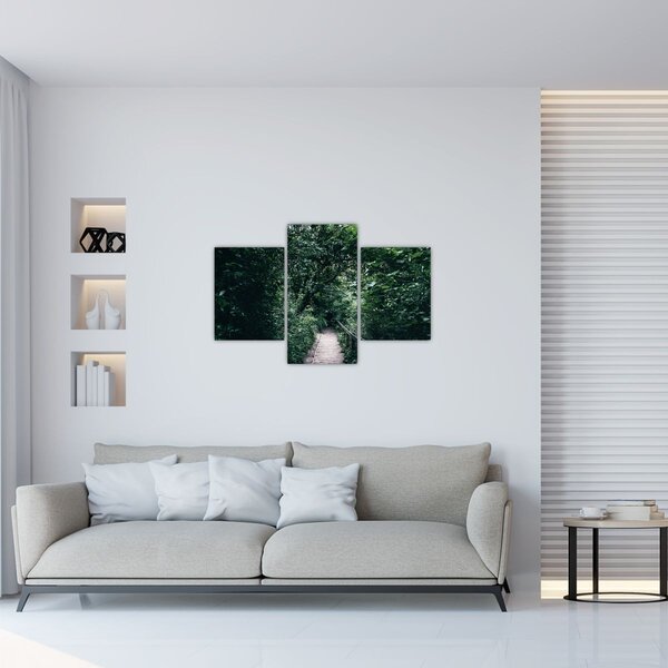 Slika - Put kroz šumu (90x60 cm)