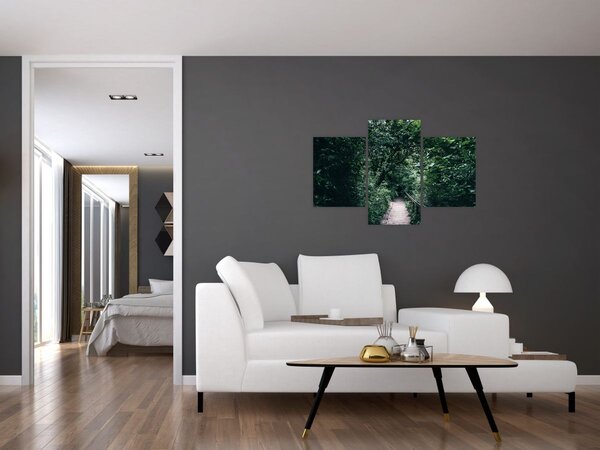 Slika - Put kroz šumu (90x60 cm)