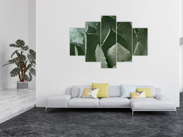 Slika - Zelena agava (150x105 cm)