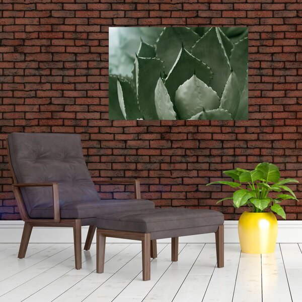 Slika - Zelena agava (90x60 cm)
