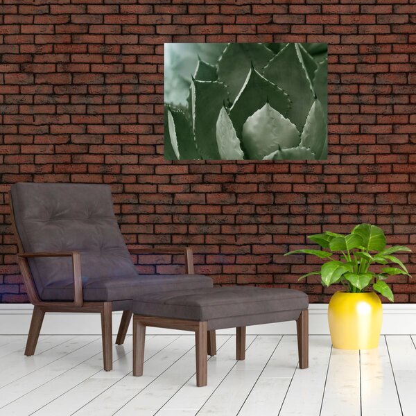 Slika - Zelena agava (70x50 cm)