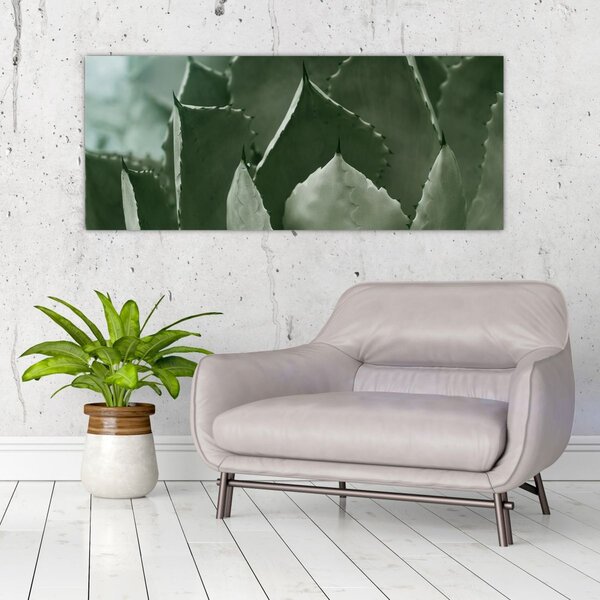 Slika - Zelena agava (120x50 cm)