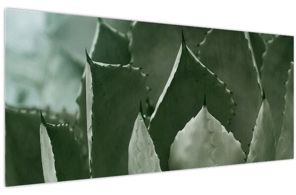 Slika - Zelena agava (120x50 cm)