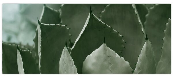 Slika - Zelena agava (120x50 cm)