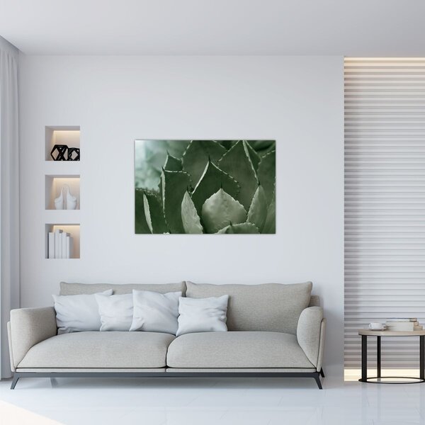 Slika - Zelena agava (90x60 cm)
