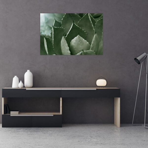 Slika - Zelena agava (90x60 cm)