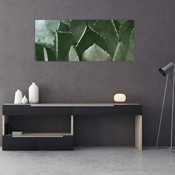 Slika - Zelena agava (120x50 cm)