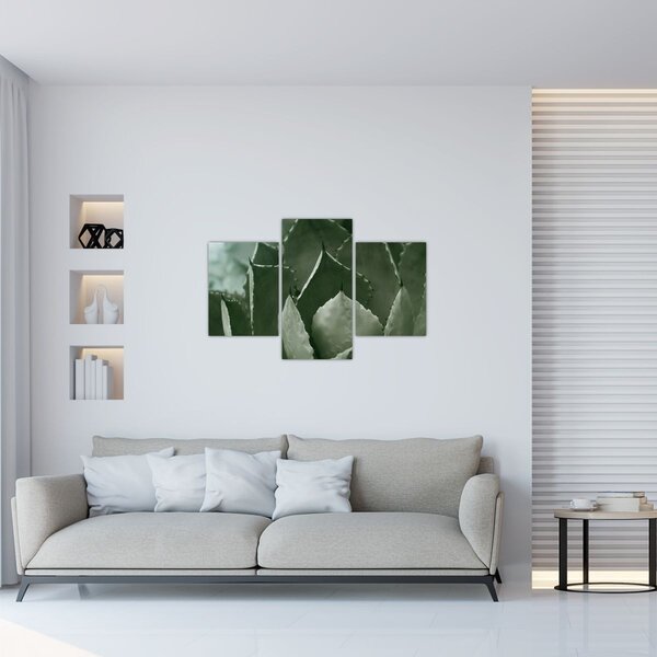 Slika - Zelena agava (90x60 cm)