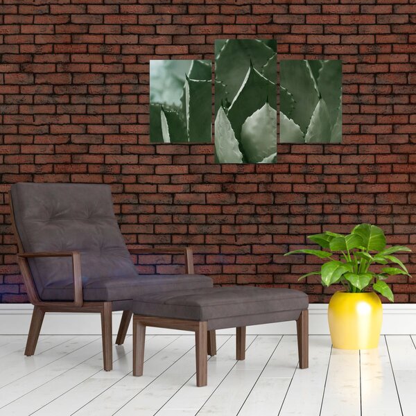 Slika - Zelena agava (90x60 cm)