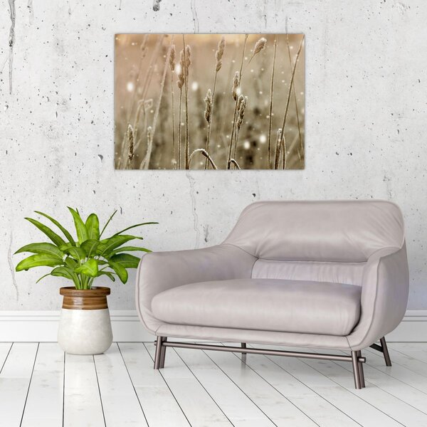 Slika - Harmonična livada (70x50 cm)