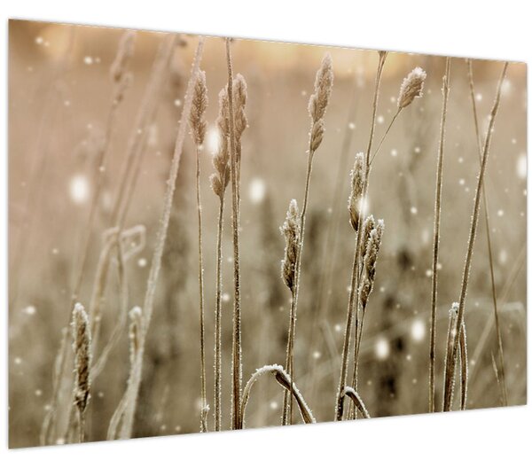 Slika - Harmonična livada (90x60 cm)