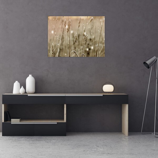 Slika - Harmonična livada (70x50 cm)