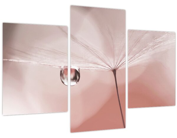 Slika - Kapljica rose (90x60 cm)