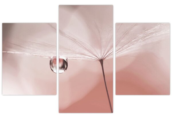 Slika - Kapljica rose (90x60 cm)