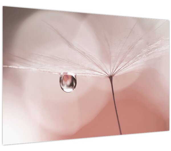 Slika - Kapljica rose (90x60 cm)