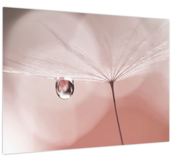 Slika - Kapljica rose (70x50 cm)