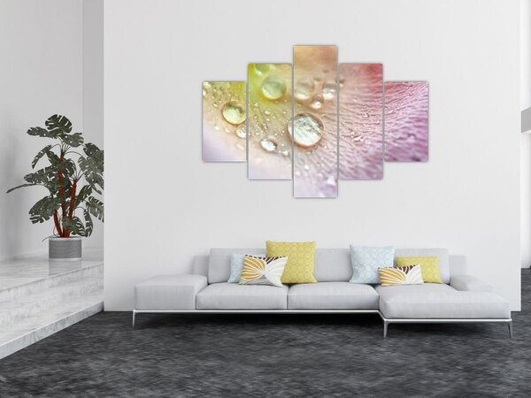 Slika - Kapi rose (150x105 cm)