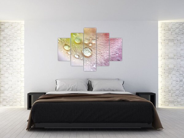 Slika - Kapi rose (150x105 cm)