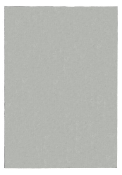 Svijetlo sivi tepih 120x170 cm – Flair Rugs