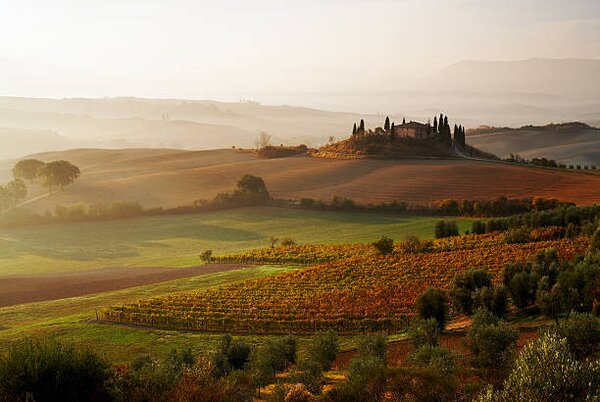 Fotografija View across Tuscan landscape., Gary Yeowell