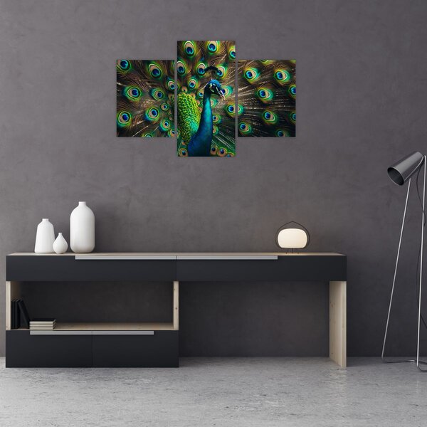 Slika – Paun (90x60 cm)