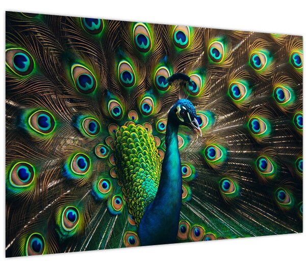 Slika – Paun (90x60 cm)