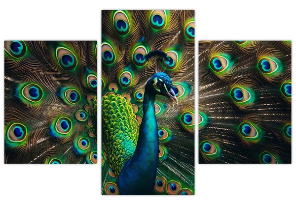 Slika – Paun (90x60 cm)