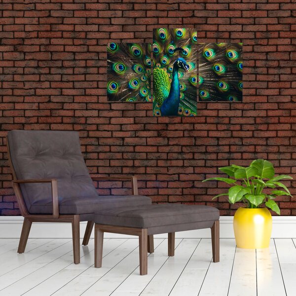 Slika – Paun (90x60 cm)