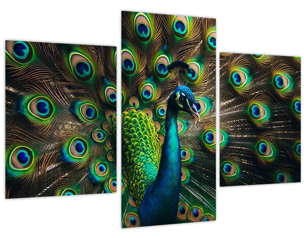 Slika – Paun (90x60 cm)