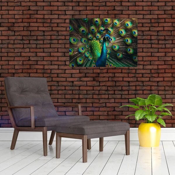 Slika – Paun (70x50 cm)