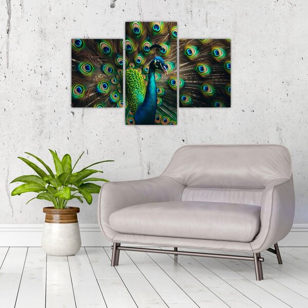 Slika – Paun (90x60 cm)