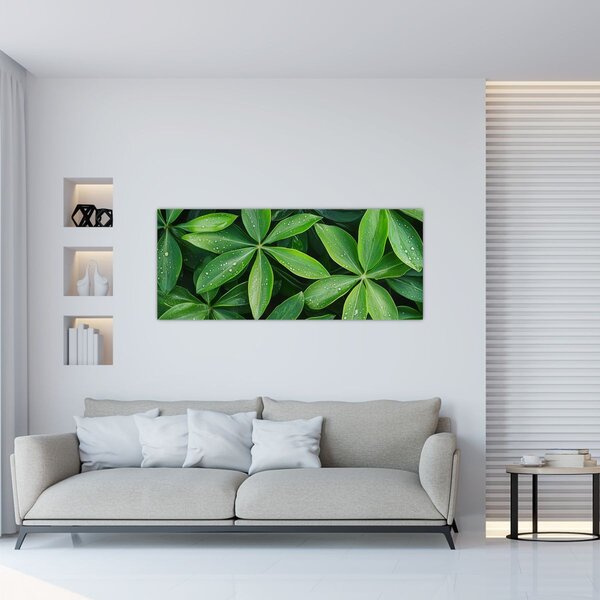 Slika - Listovi s kapima rose (120x50 cm)