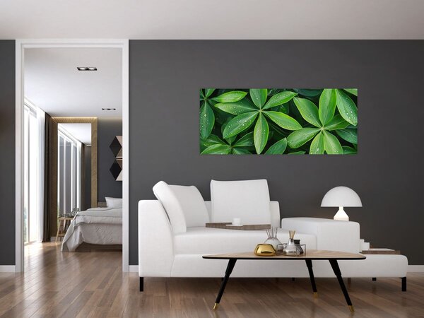 Slika - Listovi s kapima rose (120x50 cm)