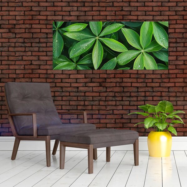 Slika - Listovi s kapima rose (120x50 cm)