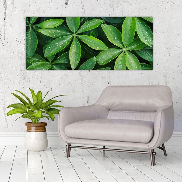 Slika - Listovi s kapima rose (120x50 cm)