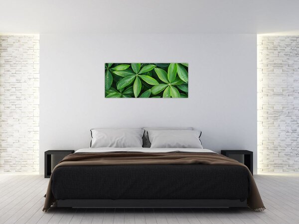 Slika - Listovi s kapima rose (120x50 cm)