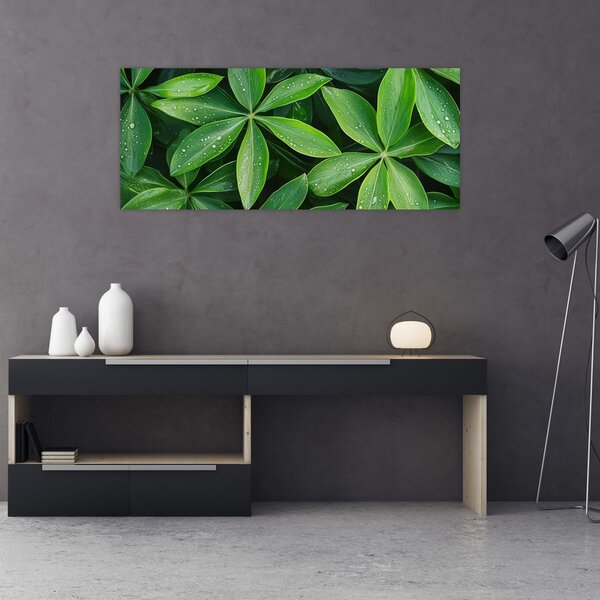 Slika - Listovi s kapima rose (120x50 cm)