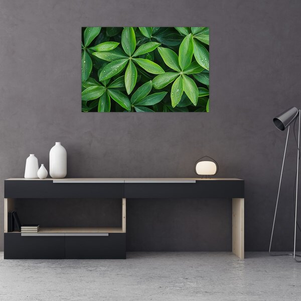 Slika - Listovi s kapima rose (90x60 cm)