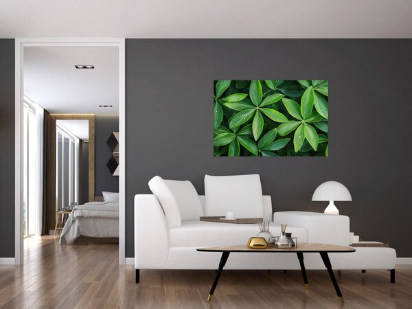 Slika - Listovi s kapima rose (90x60 cm)