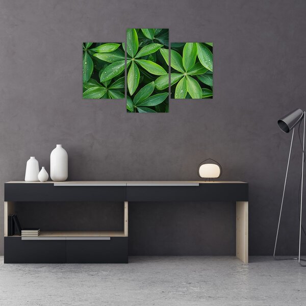 Slika - Listovi s kapima rose (90x60 cm)