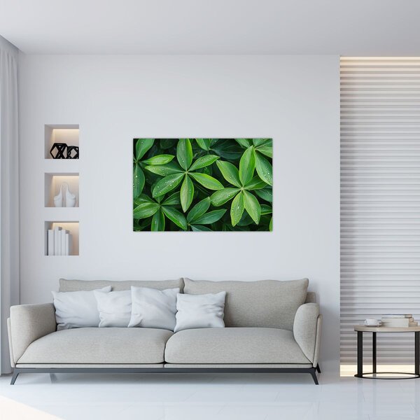 Slika - Listovi s kapima rose (90x60 cm)