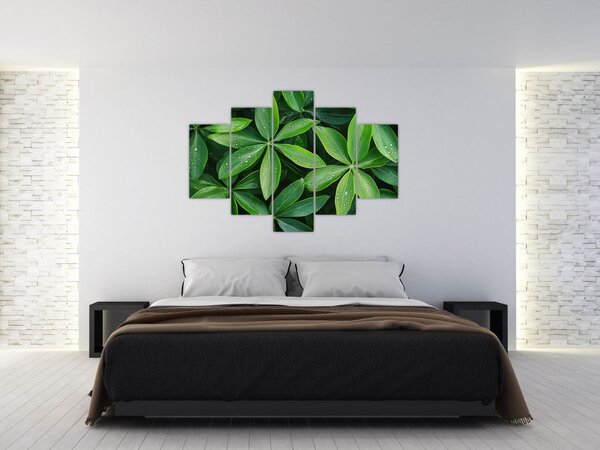 Slika - Listovi s kapima rose (150x105 cm)