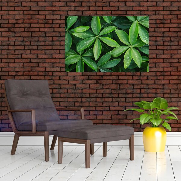 Slika - Listovi s kapima rose (90x60 cm)