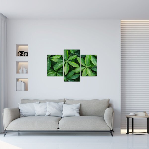 Slika - Listovi s kapima rose (90x60 cm)