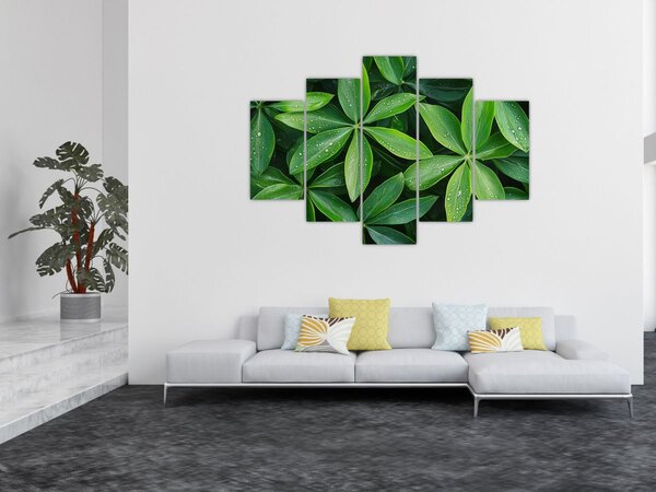 Slika - Listovi s kapima rose (150x105 cm)