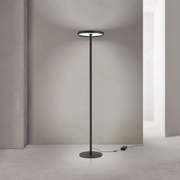 ORION KANT LED podna lampa, crna, visina 185 cm, CCT, prigušivanje gore/dolje, prigušiva, Crno, Dnevni boravak/blagovaonica, Stanite zračeći prema dolje